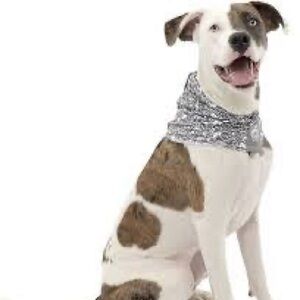 Kurgo Dog Scruff Scarf